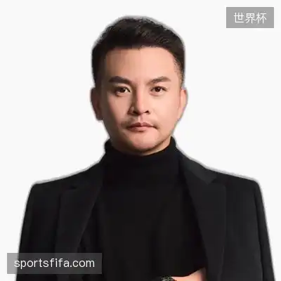 叶龙